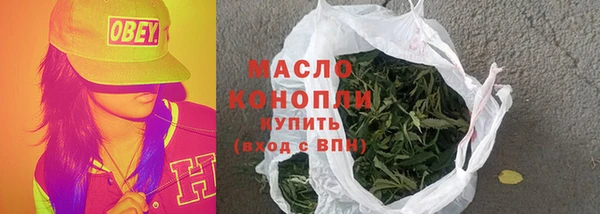 гидра Арсеньев
