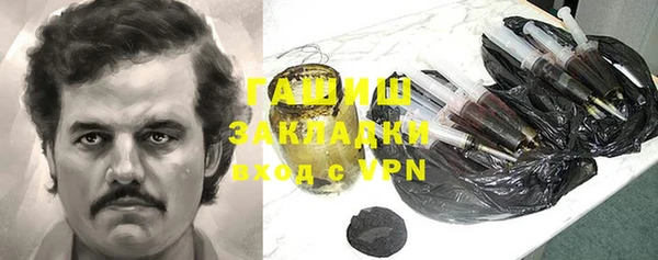 гидра Арсеньев