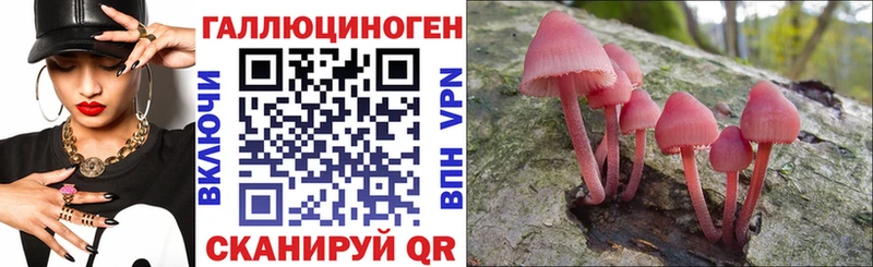 наркошоп  Дыгулыбгей  kraken как зайти  Псилоцибиновые грибы мухоморы 